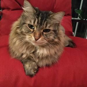 Meet your Posher, Jacqueline